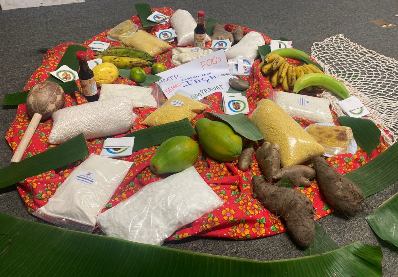 Mesmo com perdas causadas pelo clima, merenda escolar é mantida com produtos da agricultura familiar em Santarém 