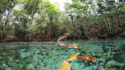 VÍDEOS: Jornal do Campo deste domingo (21)