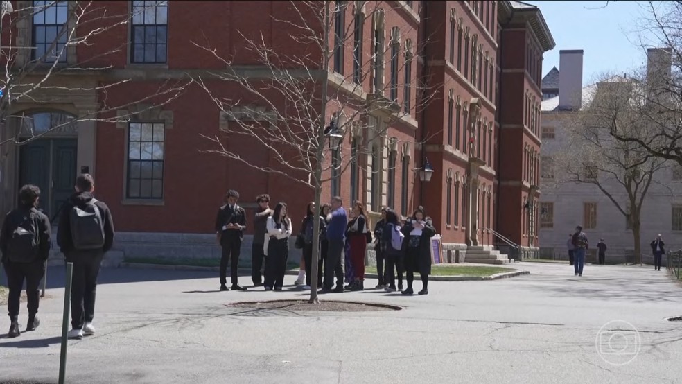 Harvard: batalha judicial entre Trump e a principal universidade dos EUA paralisa o trabalho de centenas de cientistas — Foto: Jornal Nacional/ Reprodução