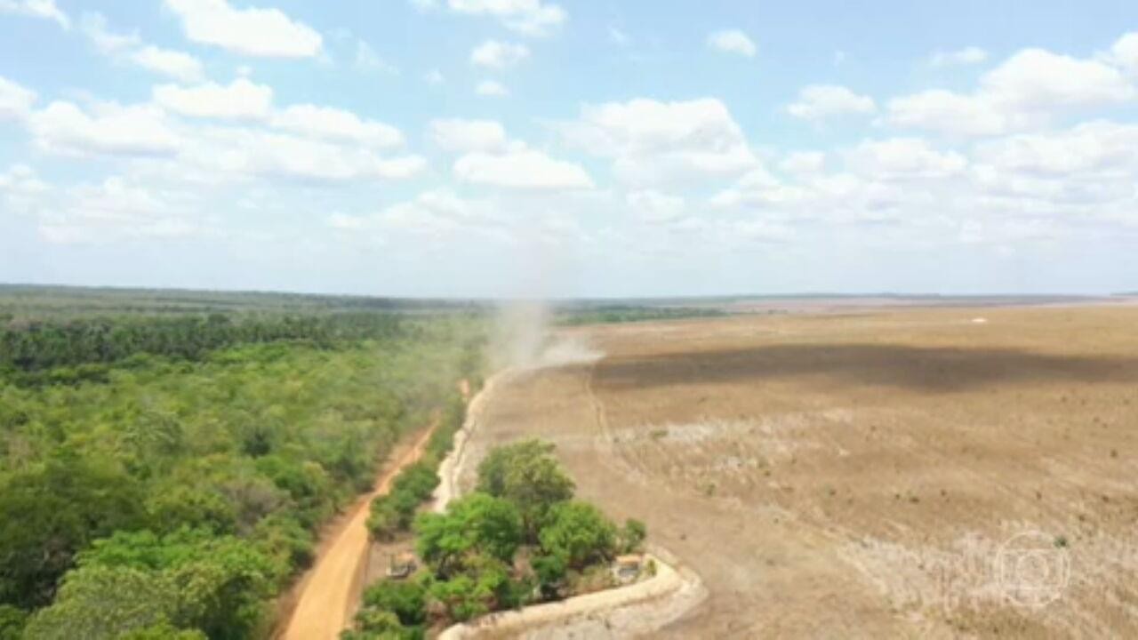 VÍDEOS: Bom Dia Brasil de sexta-feira, 12 de janeiro de 2024