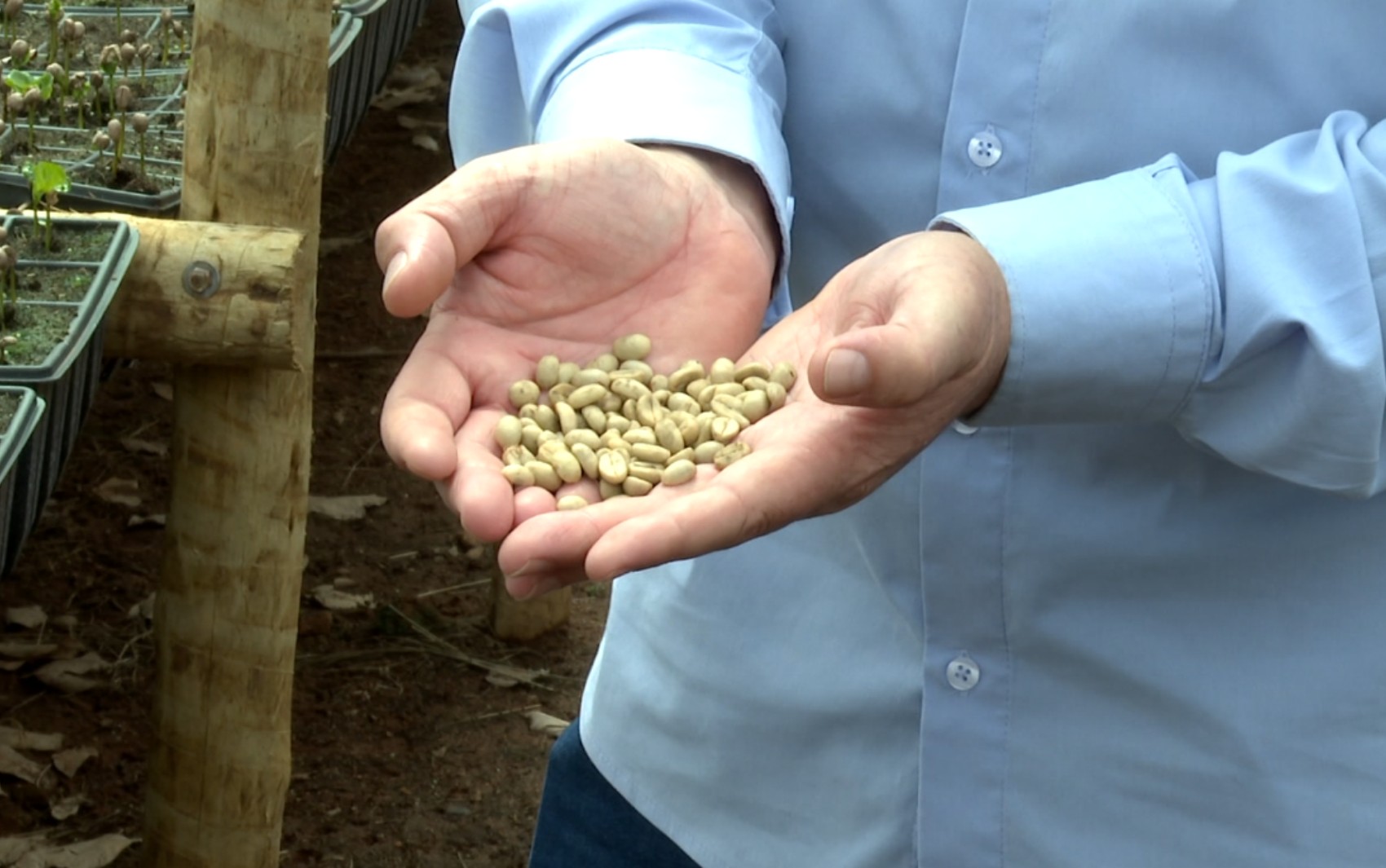 Você Não Tá Convidada pro Meu Bat Mitzvá!