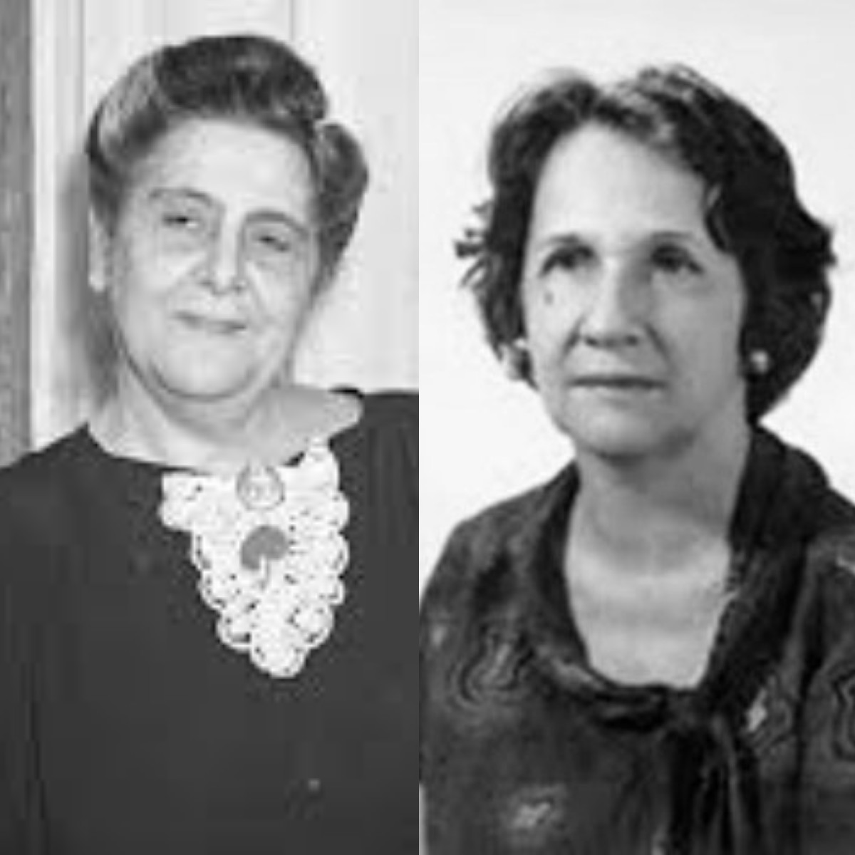Mulheres que dão nome a escolas em Porto Velho: conheça as histórias | G1