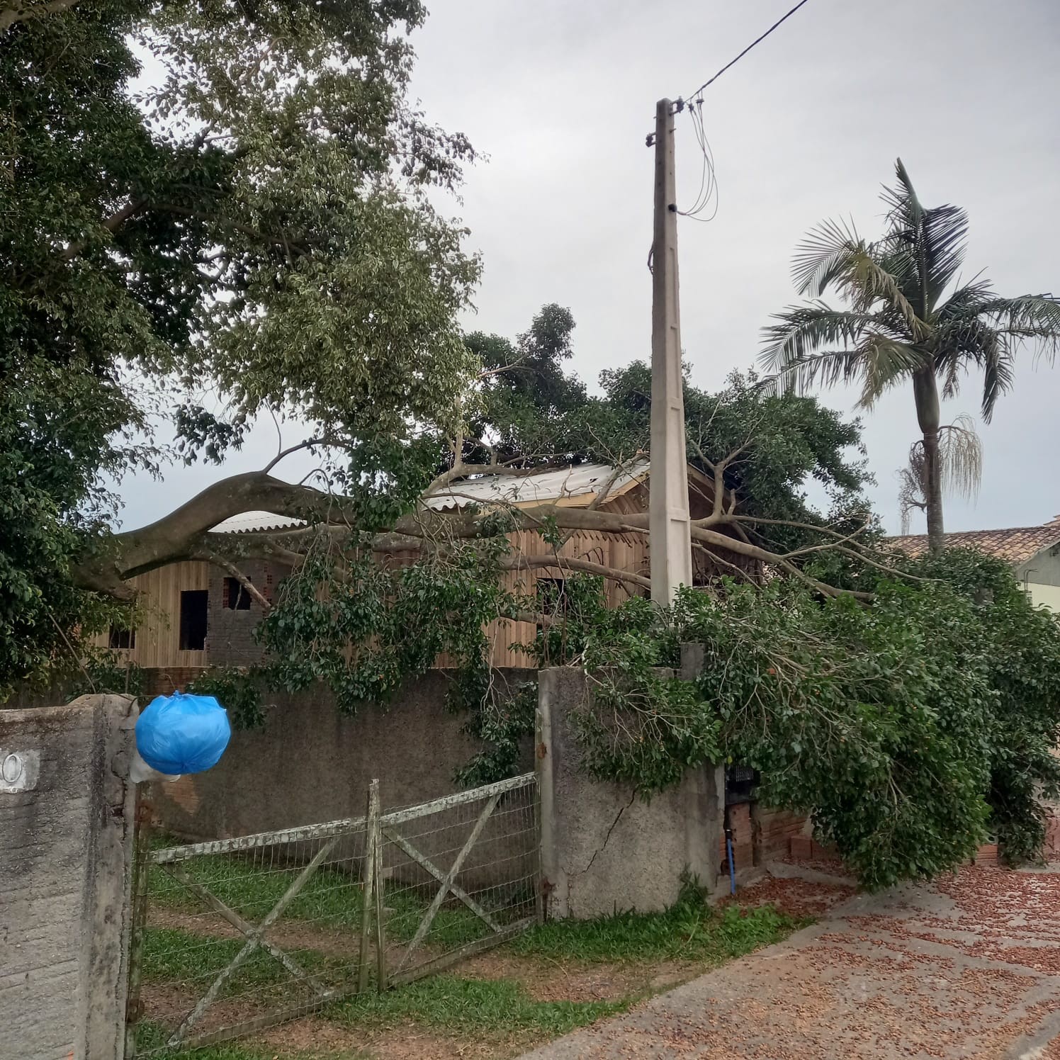 Subestação de energia elétrica explode e supreende repórter ao vivo em SC; VÍDEO