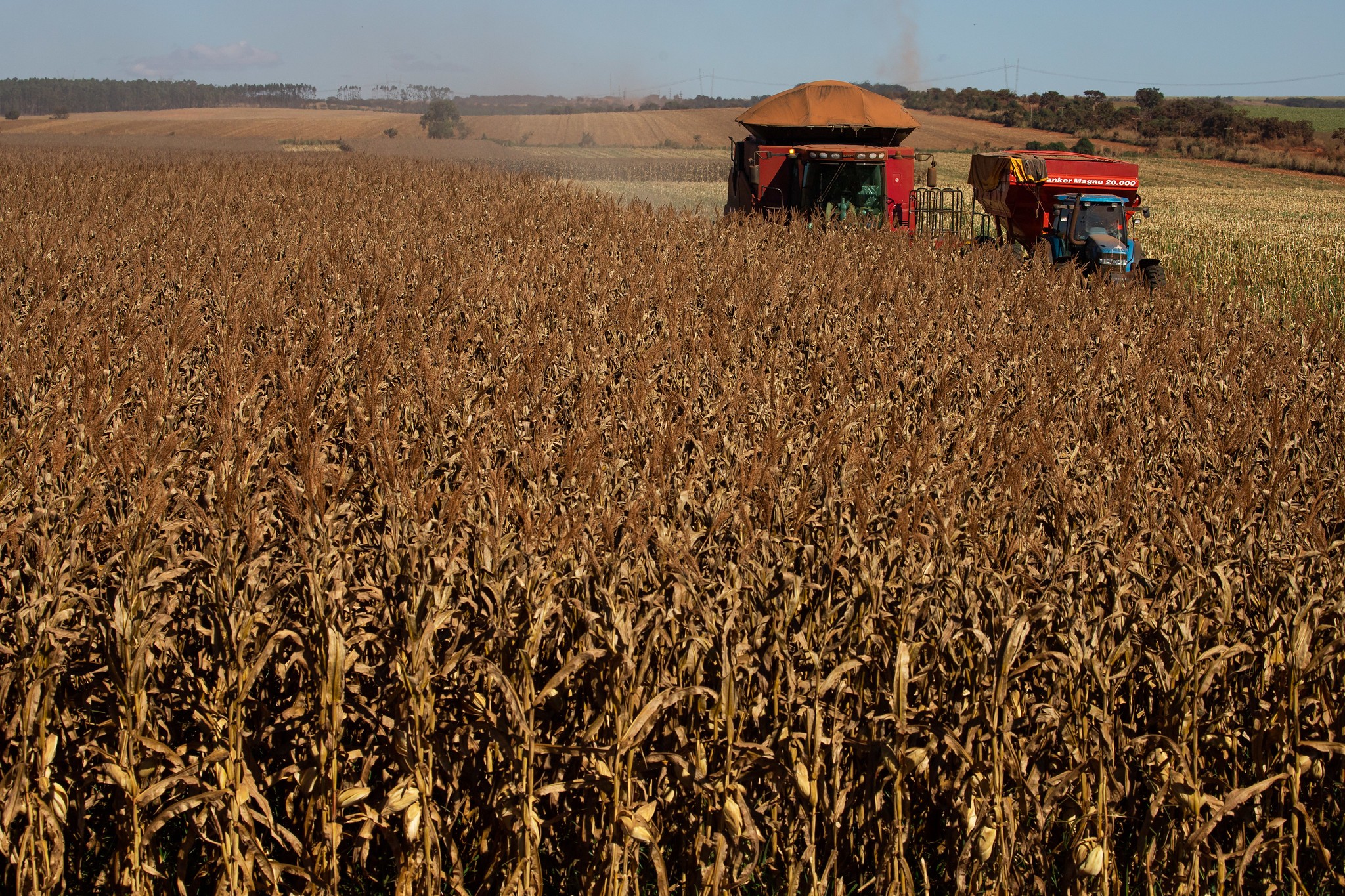 Programa oferece bolsas de R$ 5 mil para atuação no meio rural no Vale ...