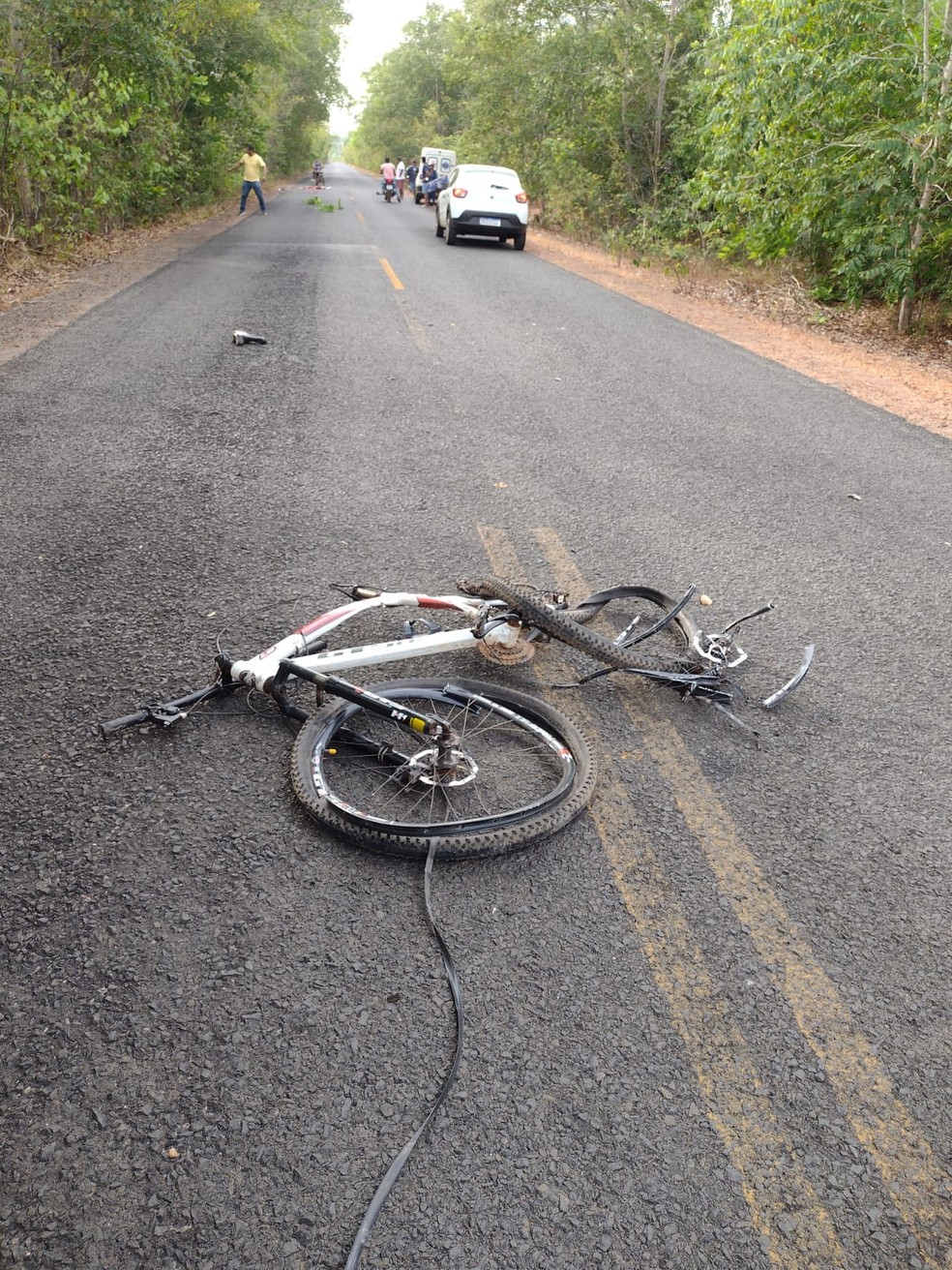 Ciclista morre atropelado por caminhão na PI-212, em Nossa Senhora dos Remédios; caminhoneiro foi preso em flagrante — Foto: Reprodução