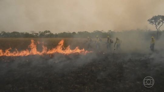 O desmatamento é o maior vilão climático do Brasil? - Desmatamento responde por quase metade das emissões de gases do Brasil em 2023. Nenhum outro setor — nem transporte, nem indústria — polui tanto quanto a devastação ambiental no país.