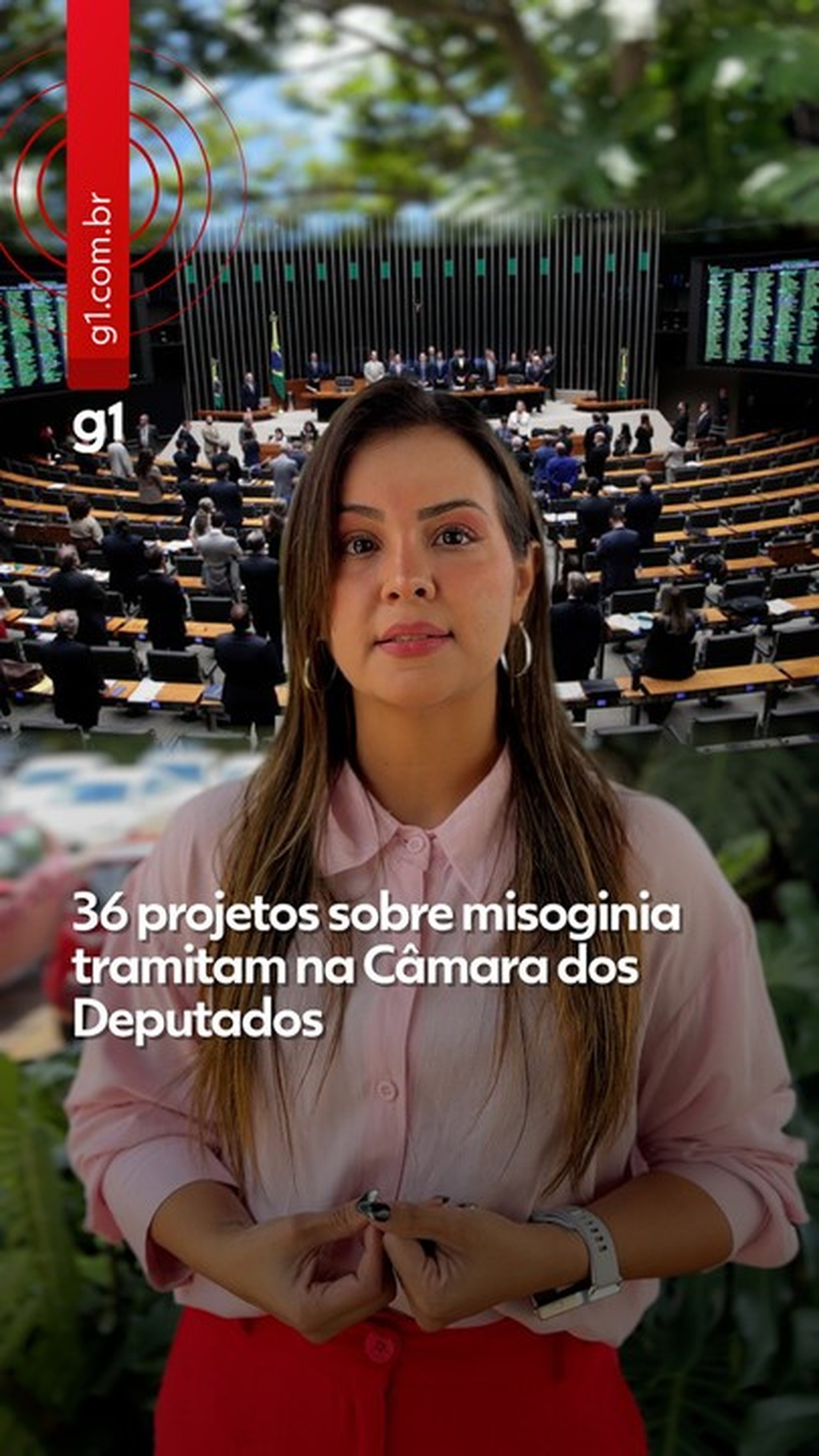 Câmara pode votar nesta terça PL da Misoginia, que equipara crime ao racismo e prevê penas maiores; entenda
