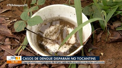 Casos de dengue disparam no Tocantins
