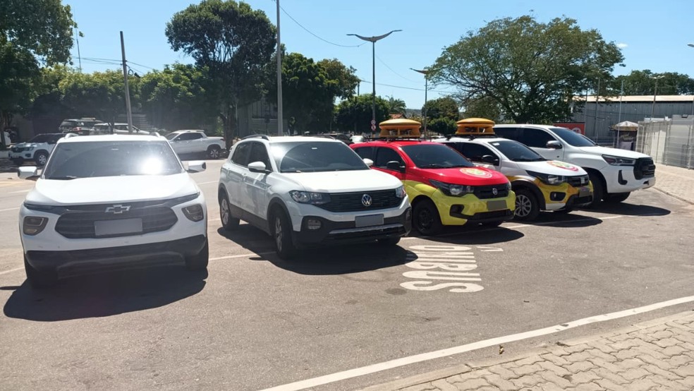 Polícia realizou o bloqueio de valores das contas dos investigados e apreendeu de 18 veículos. — Foto: Polícia Civil/ Divulgação