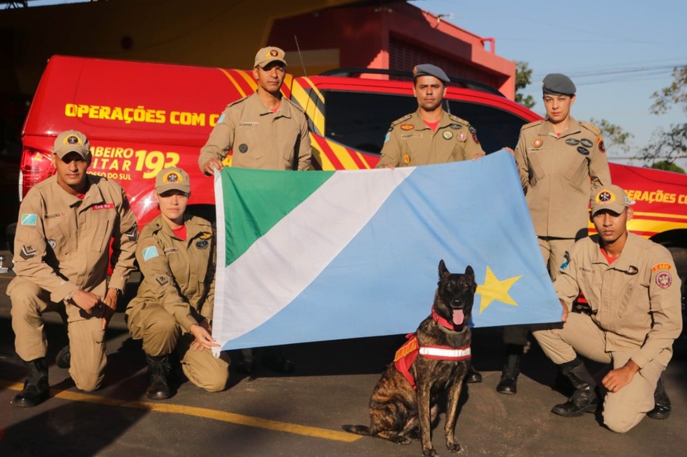 Laika e a equipe do Corpo de Bombeiros Militar, representando o Mato Grosso do Sul nos resgates — Foto: CBMMS/Divulgação