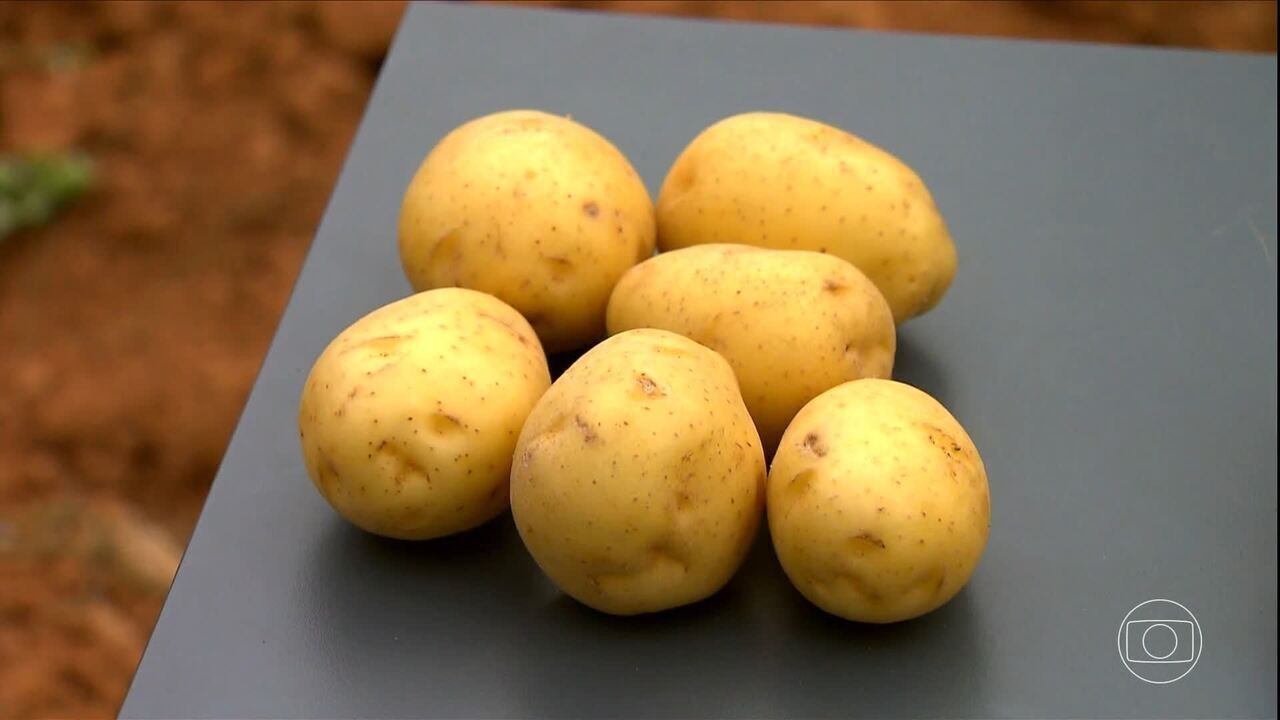 Qual é a melhor forma de plantar batata-inglesa?