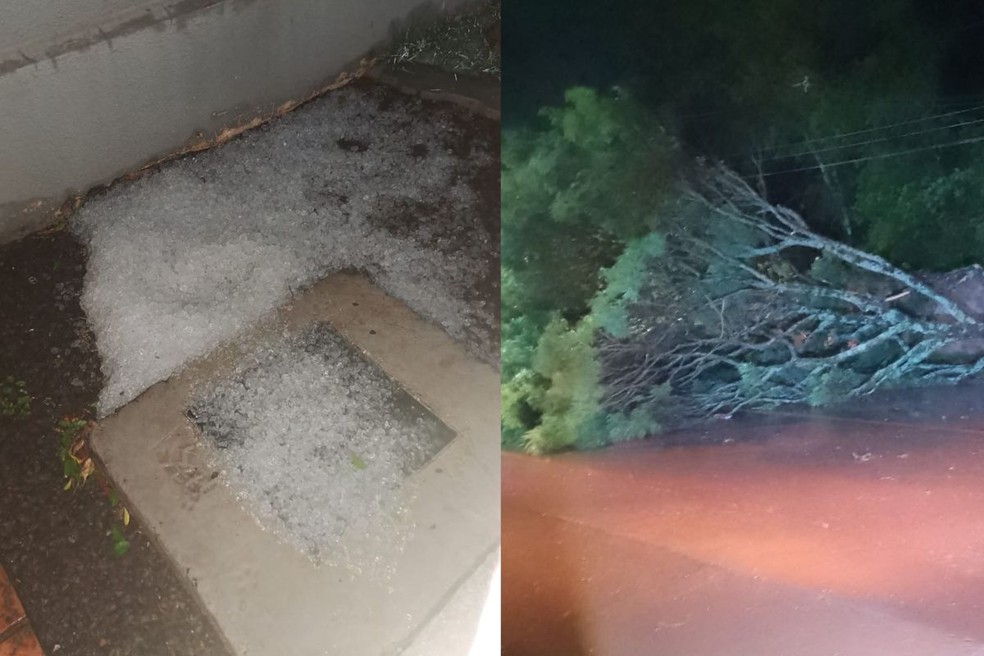 Em Campo Mourão, houve queda de granizo de árvores. — Foto: Cedidas/Márcia Fiorin/João Silvestrin