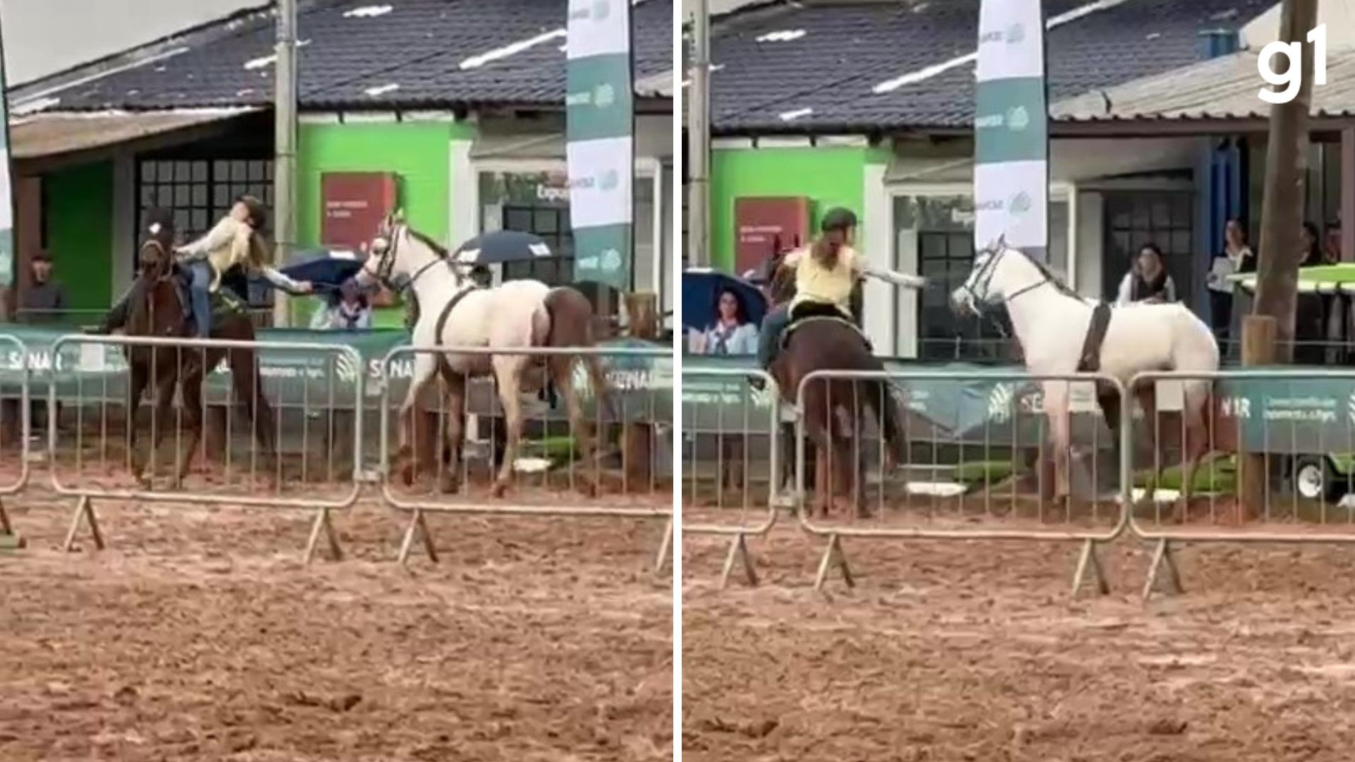 Veja o momento em que cavalo desgovernado é controlado por menina de 12 anos no RS
