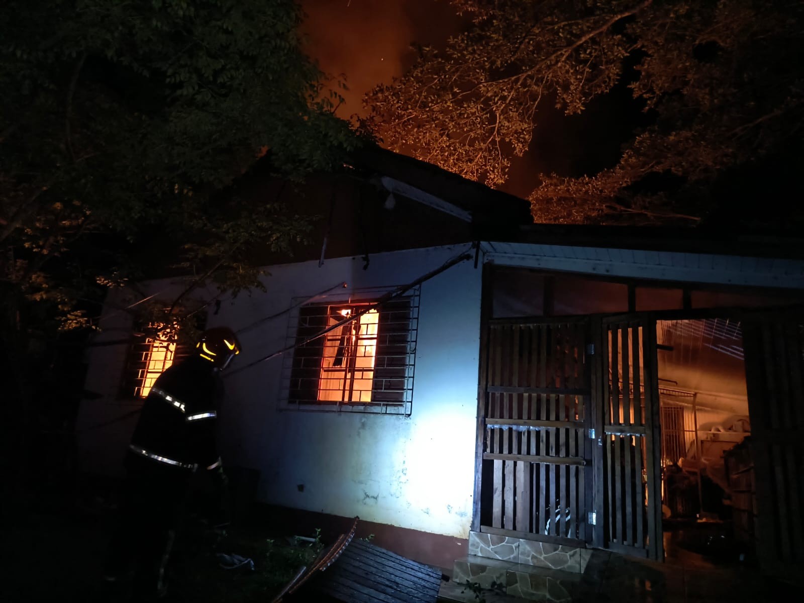 Incêndio atinge instituição que abriga 300 animais resgatados e vítimas de maus-tratos no RS