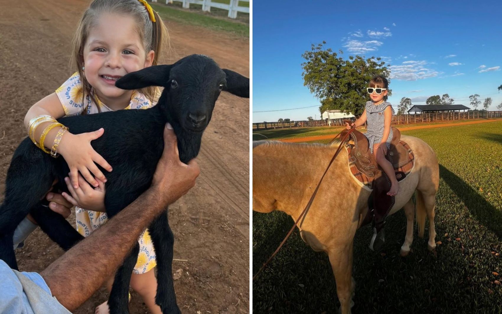 De tirar leite de vaca a carneiro no colo: filhas de Virginia e Zé Felipe mostram lado 'boiadeiras' em fazenda de Leonardo; vídeo