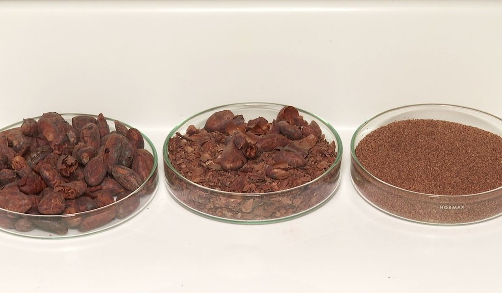 Compostos contidos nas cascas de amêndoa do cacau usados para enriquecer mel por pesquisadores da Unicamp em Limeira (SP) — Foto: Reprodução/EPTV