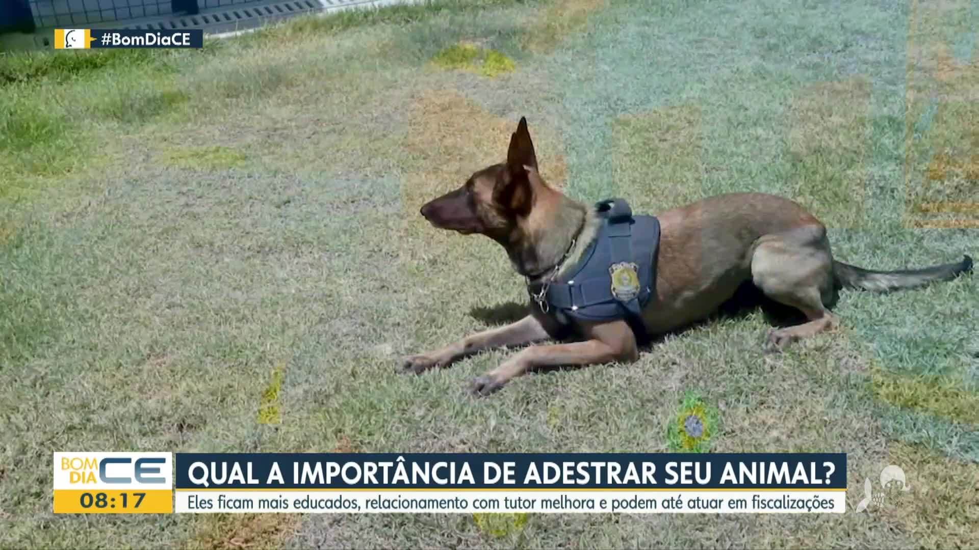 VÍDEOS: Bom Dia Ceará de quinta-feira, 5 de dezembro de 2024