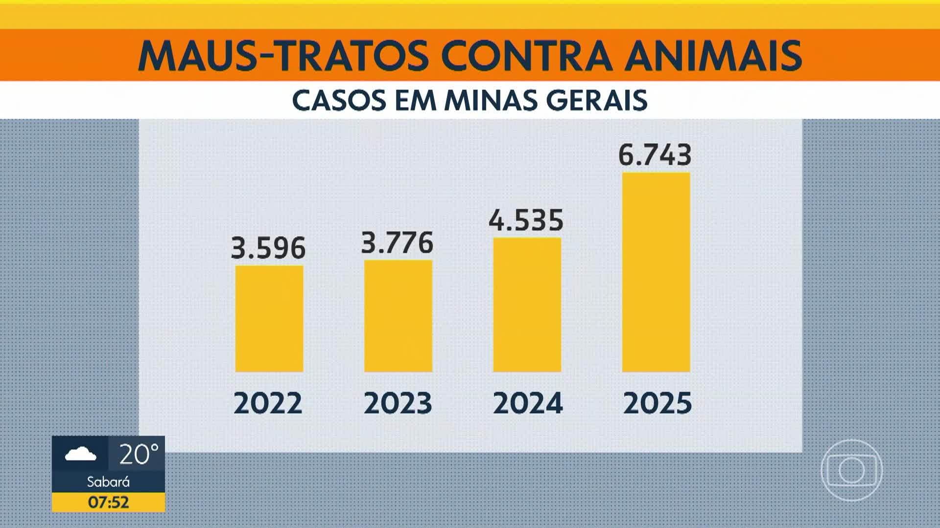 VÍDEOS: Bom Dia Minas, de quarta-feira, 11 de fevereiro de 2026