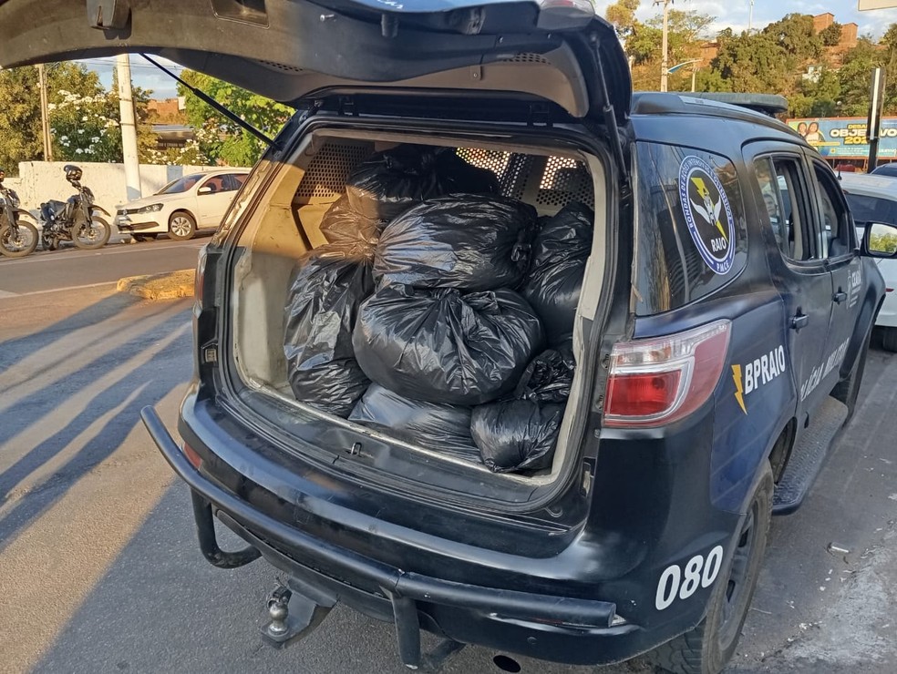 Foram conduzidos até a delegacia um homem e uma mulher, e o indivíduo assumiu a propriedade da droga e de todo maquinário utilizado na produção — Foto: Divulgação/Polícia Militar