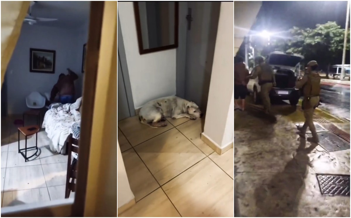 VÍDEO: Cães são resgatados e homem é preso após denúncia de maus-tratos em Balneário Camboriú