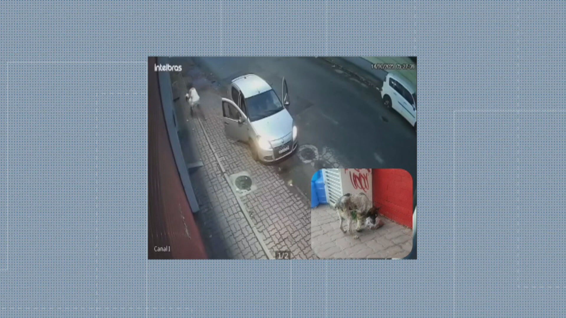 VÍDEO: mulher abandona cadela com pata quebrada em calçada da Taquara