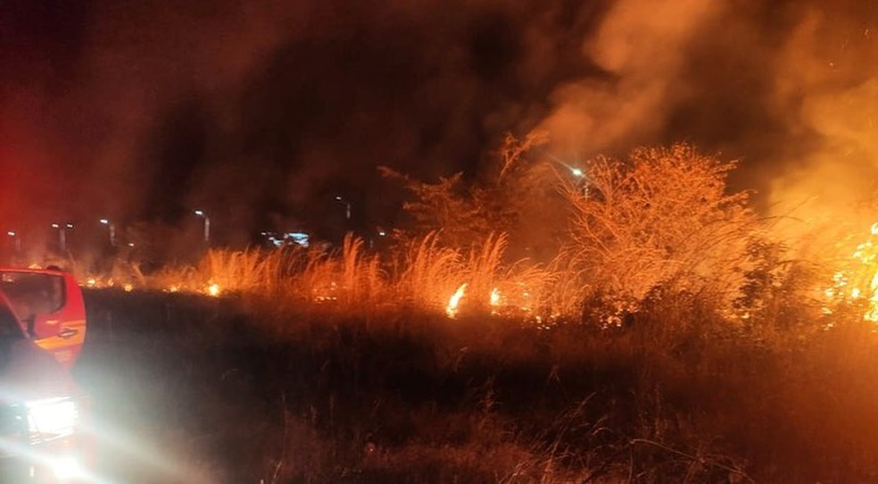 Queimadas no Maranhão cresceram 75% no mês de julho, aponta INPE — Foto: Divulgação/Bombeiros