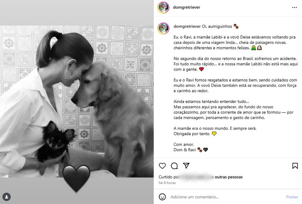 Labibi Amaral Mello, de Marília (SP), morreu em acidente na Argentina — Foto: Reprodução/Redes sociais