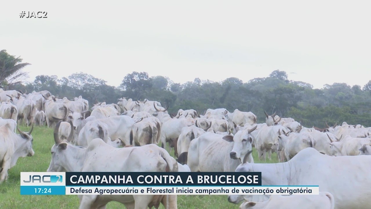 VÍDEOS: Jornal do Acre 2ª Edição desta quarta-feira, 1º de abril de 2026