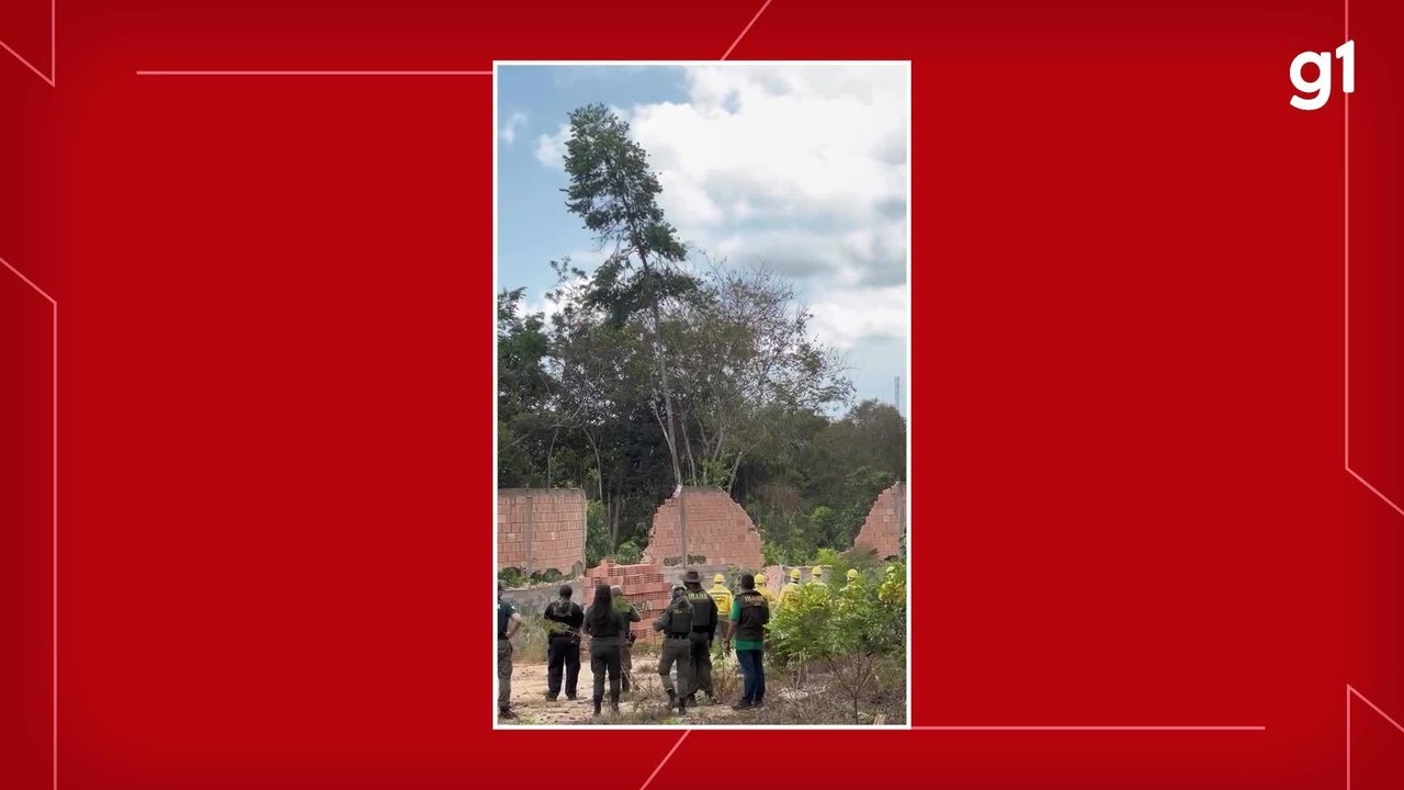 Ibama derruba muro construído por empreendimento particular em área de APP em Alter do Chão
