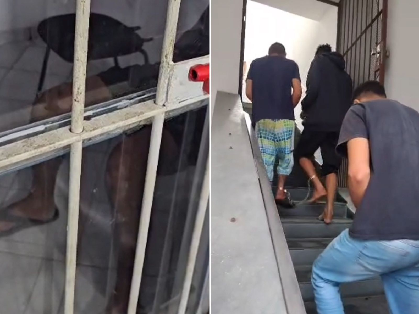 PM interrompe 'tribunal do crime' e liberta vítima de criminosos; quatro foram presos e um morreu