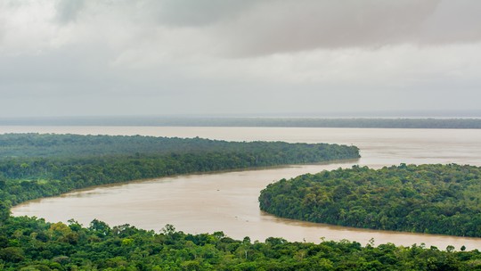 É #FAKE vídeo que mostra sucuri de 25 metros no rio Amazonas; imagem foi produzida com inteligência artificial - Ferramentas de detecção apontam que conteúdo foi manipulado. Ibama diz que serpente não é desproporcional em relação mata e à largura do rio; veja passo a passo da checagem