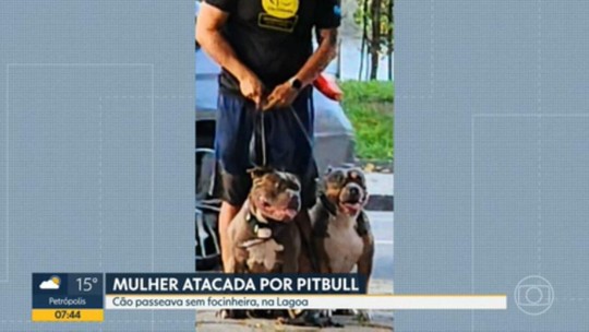 Mulher é atacada por pitbull em parque da Zona Sul do Rio - Programa: Bom Dia Rio 