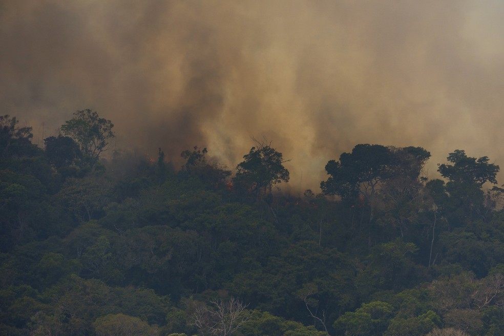  Queimadas são a principal fonte de emissões de CO, CO2 e material particulado na Amazônia  — Foto: AP Foto / Victor R. Caivano