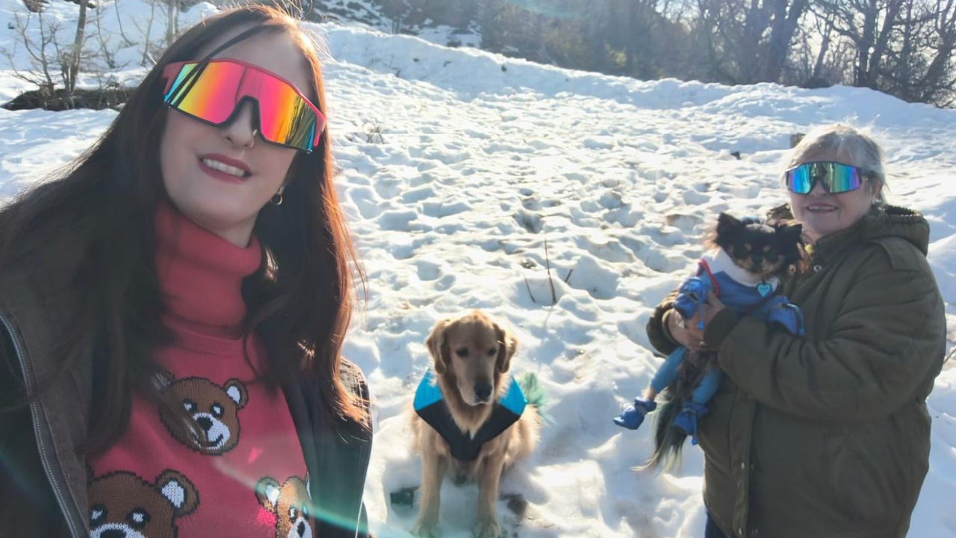 Brasileira morre em acidente de carro enquanto voltava de viagem à Argentina com mãe e cachorros
