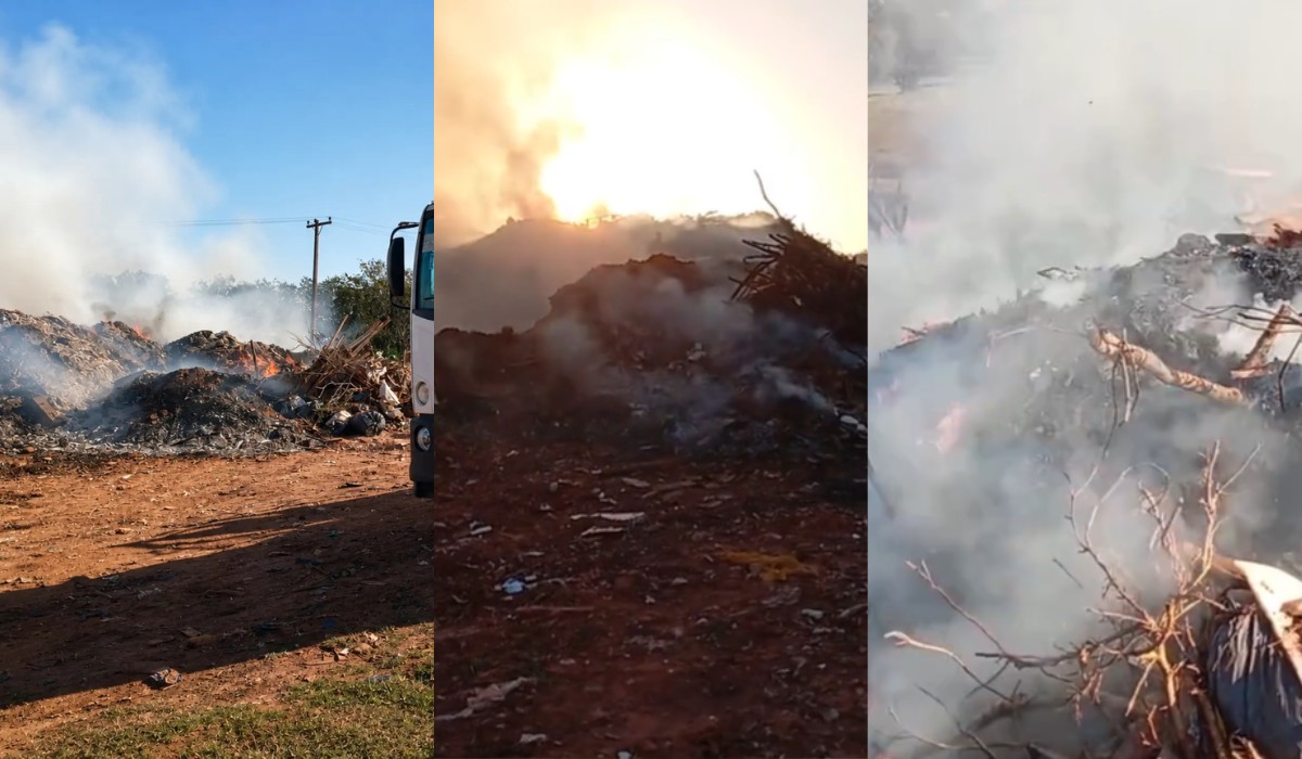 Incêndio atinge 3,3 mil m² de área de preservação permanente em SP | G1