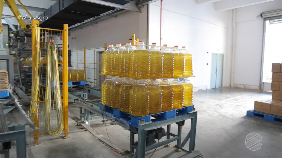 A soja brasileira é transformada em oléo de soja que é considerado produção diária da China — Foto: TVCA/Reprodução