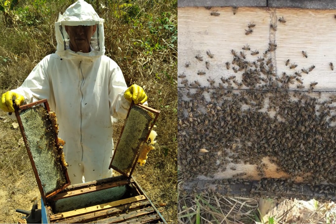 Você Não Tá Convidada pro Meu Bat Mitzvá!