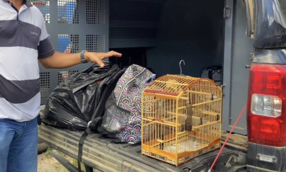Influenciador digital é preso por tráfico ao tentar fugir de ação policial com mochilas cheias de drogas na Bahia