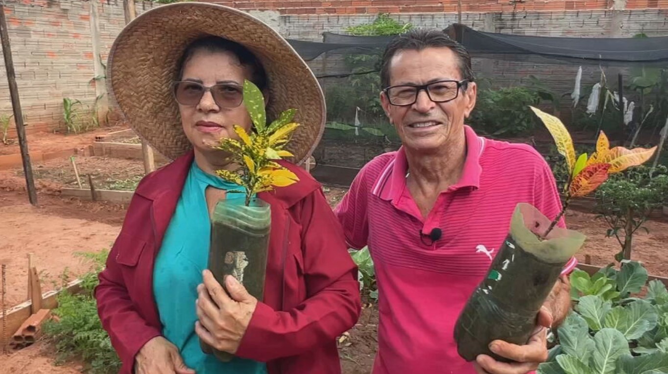 Em sete anos, casal de Glicério ajuda a plantar mais de 2 mil árvores em avenida 