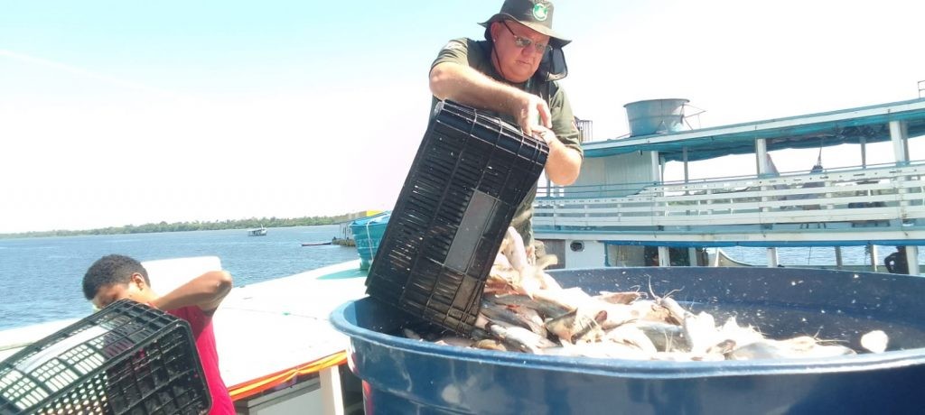 Fiscalização ambiental apreende 3 toneladas de pescado na região do Rio Cachoeiry em Oriximiná