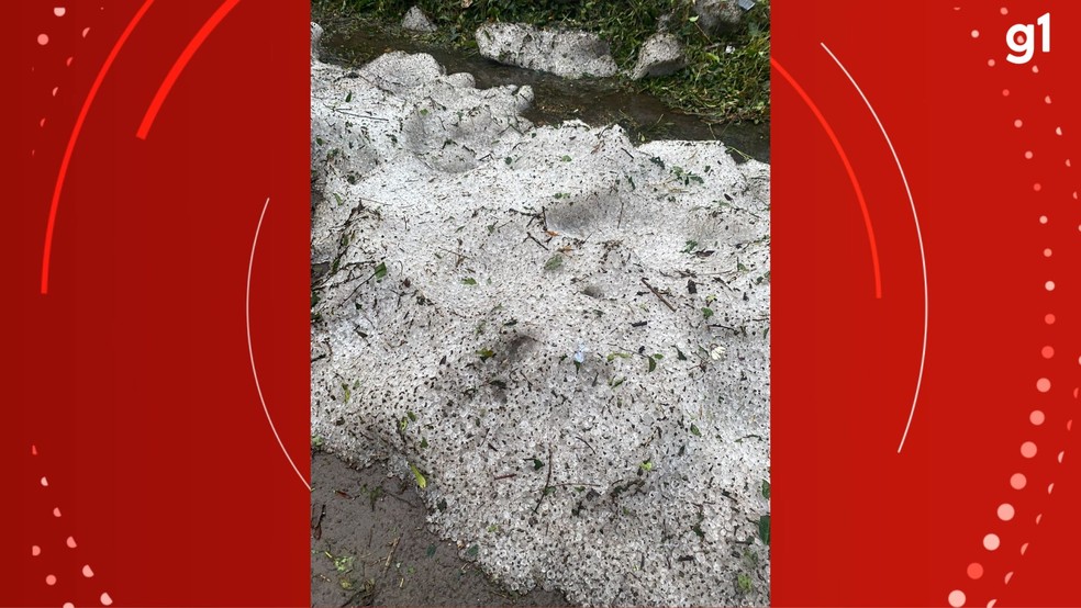 Ruas de Caxias do Sul ficam cobertas de gelo — Foto: Foto: Gabriela Garcia/RBS TV