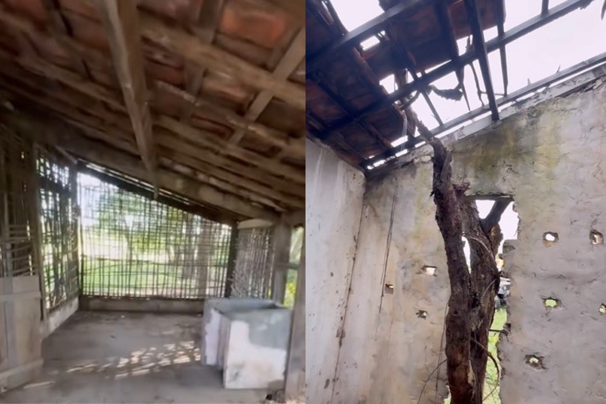 Tapera da Juma ainda existe? Vídeo mostra estado atual da casa no Pantanal