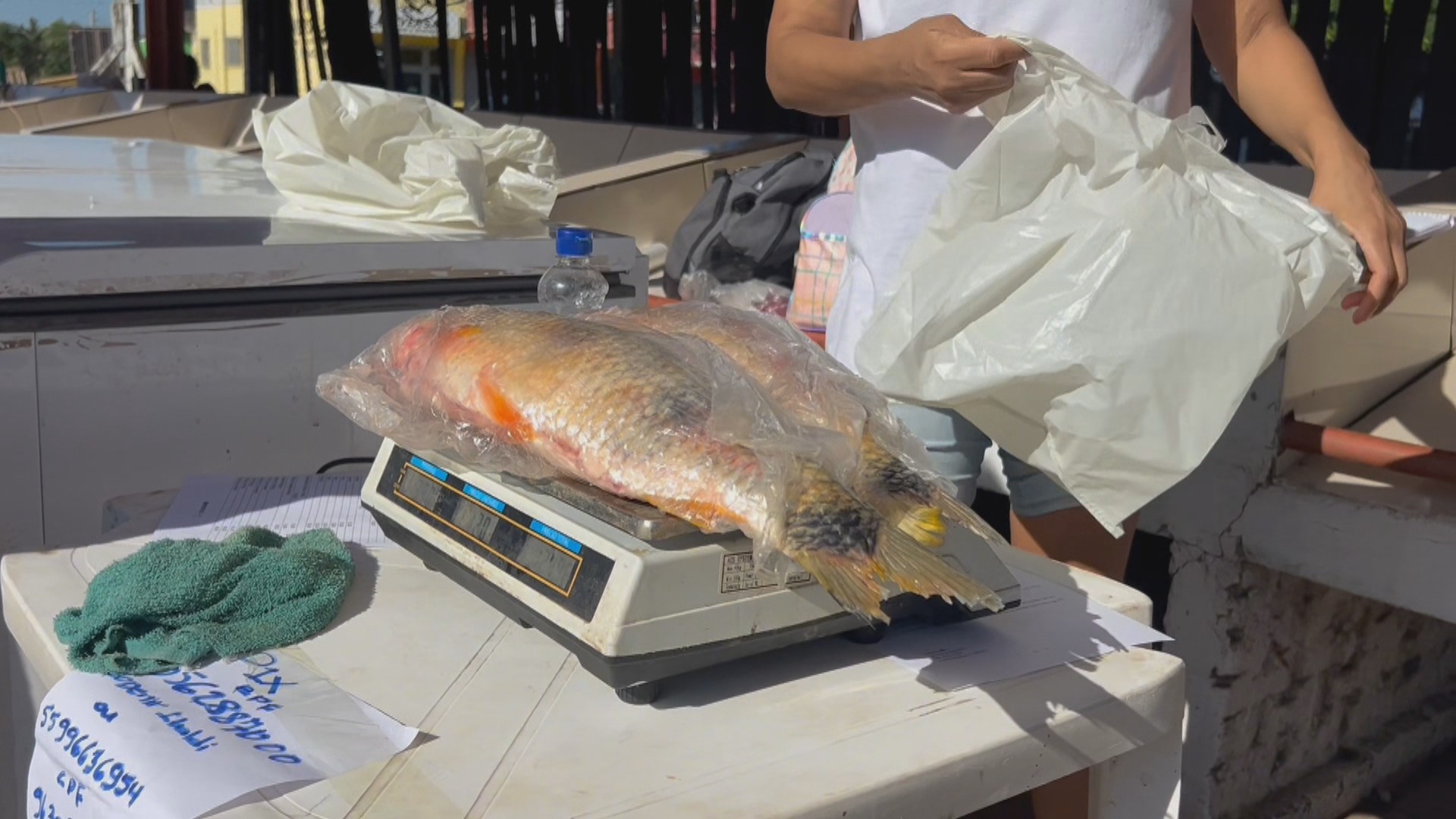 Com atraso no pagamento do seguro-defeso, Semana Santa reforça renda e traz alívio a pescadores no RS