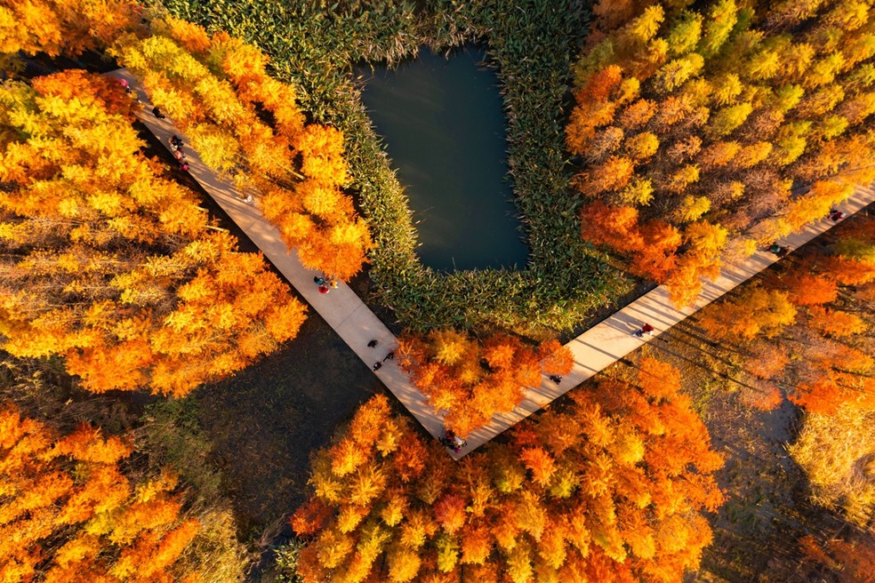 Paisagem de 126 acres degradada virou uma floresta flutuante que regula as águas pluviais, fornece habitat para a vida selvagem, oferece uma variedade de oportunidades recreativas. — Foto: Turenscape/Divulgação