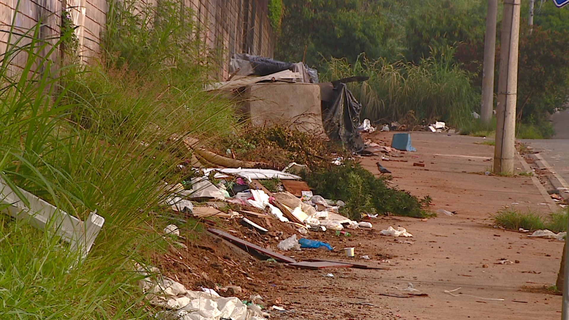 Prédio abandonado de antiga Fundação Casa em Campinas vira 'lixão' e moradores pedem escola técnica