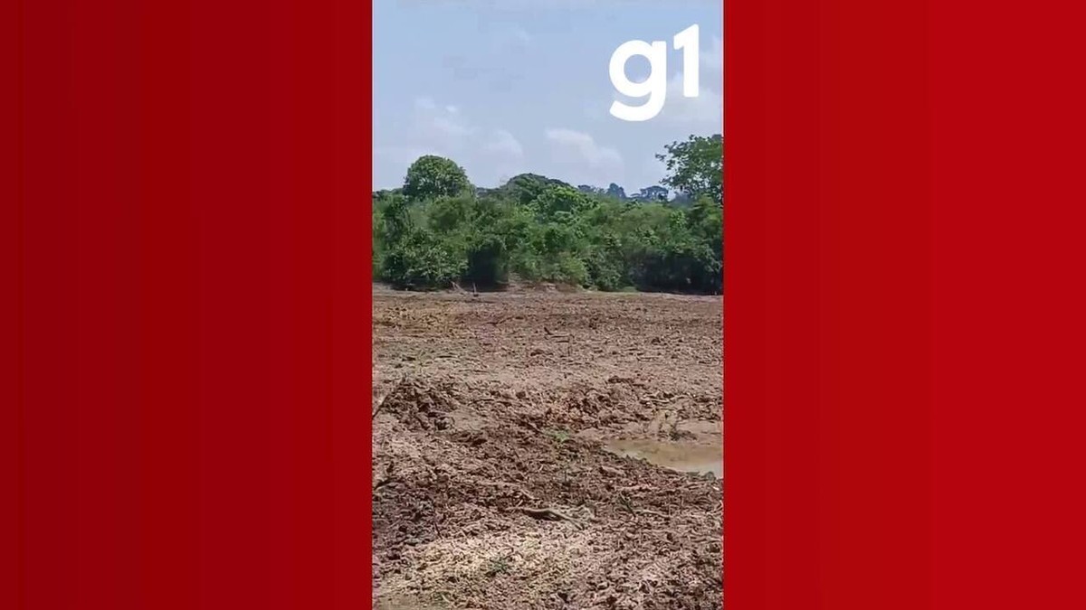 Rio que abastece cidade com mais de 58 mil habitantes em MT seca e água é racionada há um mês