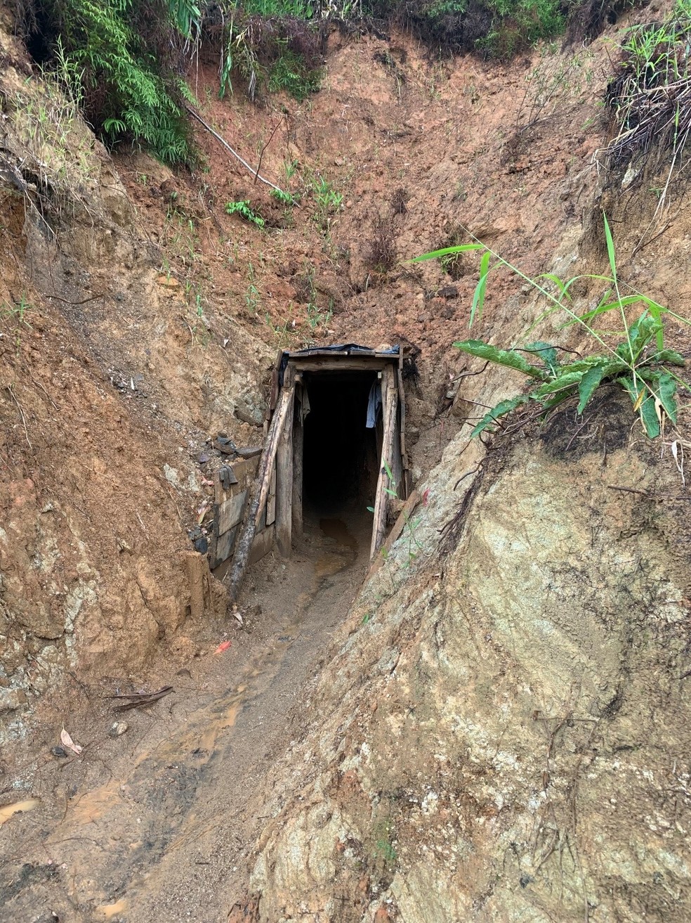 Garimpo ilegal é descoberto pela polícia no Vale do Itajaí | G1