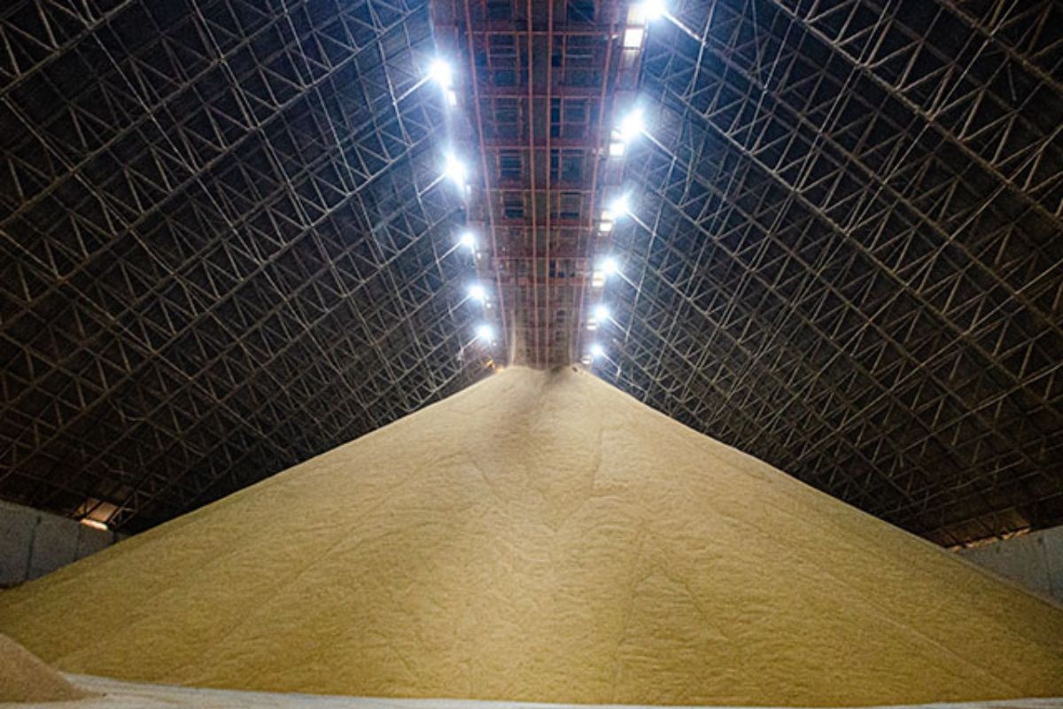 Terminal portuário é condenado a pagar R$ 2 milhões após trabalhador morrer soterrado por farelo de soja