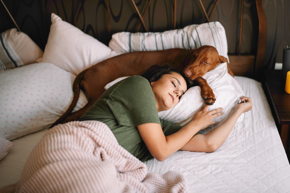 Cachorro compartilha cama com mulher enquanto dorme — Foto: JustLife/Adobe Stock
