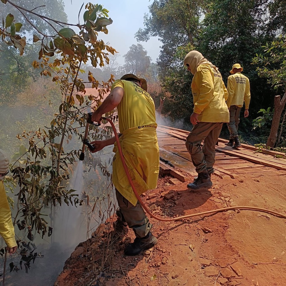 Brigadistas apagando fogo na ponte que liga a Lagoa da Serra — Foto: Divulgação/Ascom CBMTO